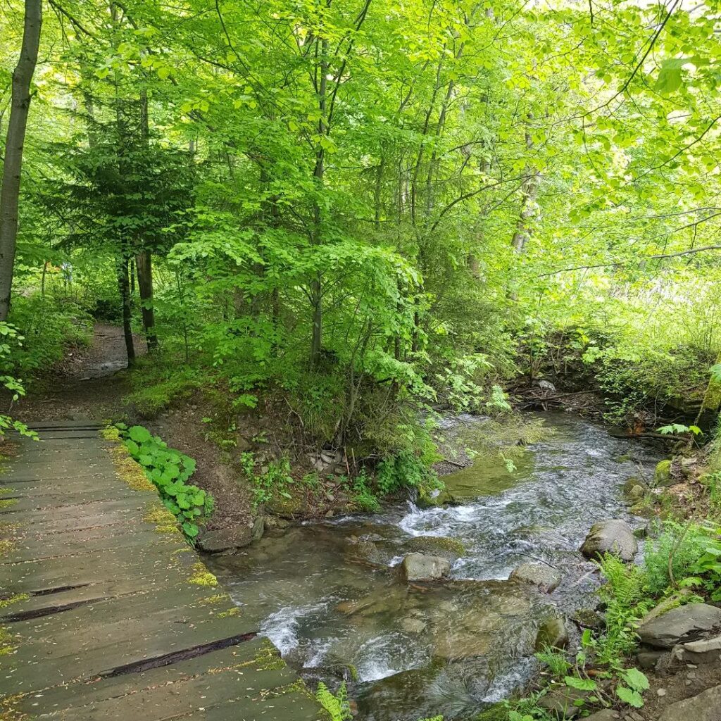 Białka